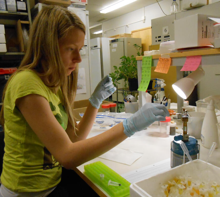 Lab Work